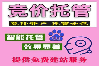 百度运营推广策略解析及实战案例